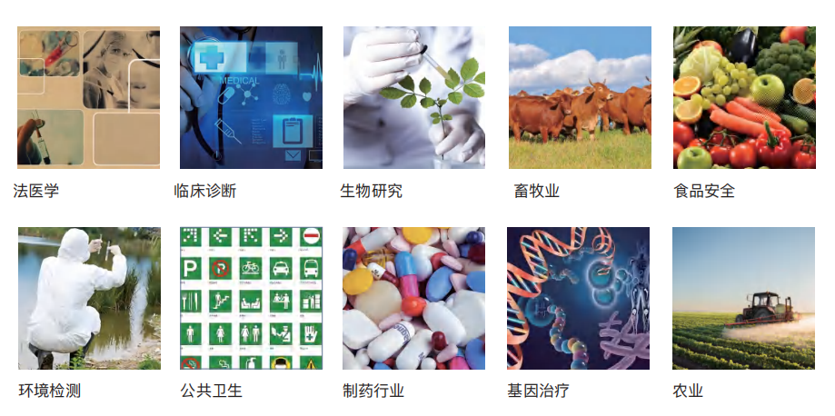 1770191065178293.png 领域.png